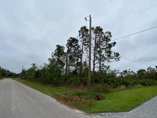 Lot 15