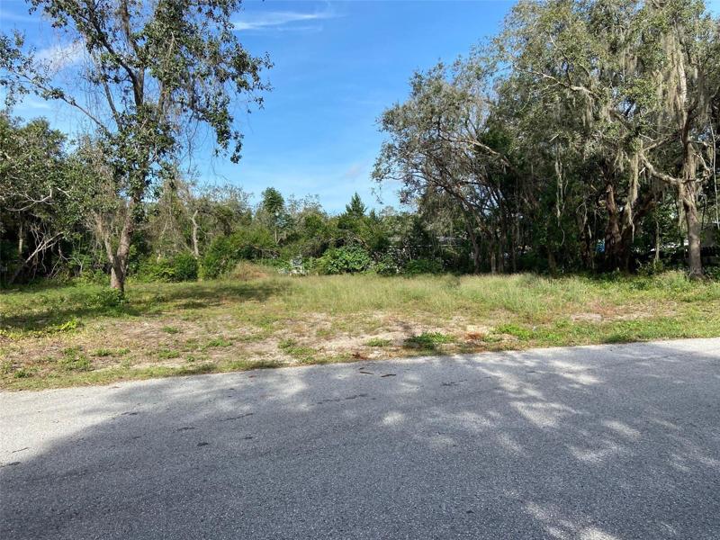 Lot before development