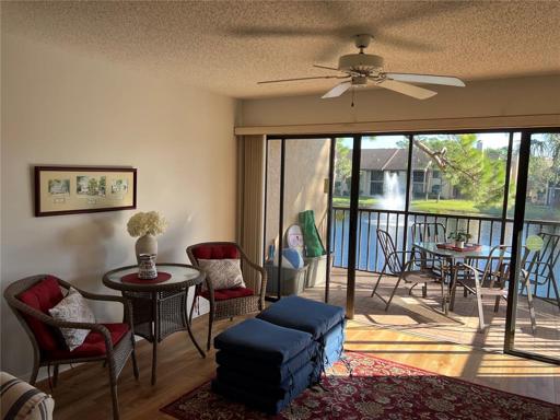den  [lanai cushions]