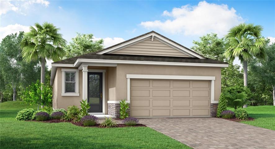 Coastal Elevation Rendering