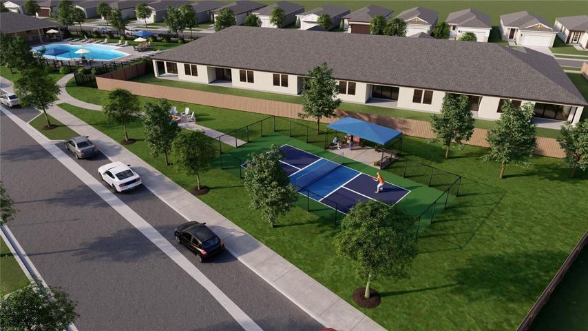 Pickleball Rendering