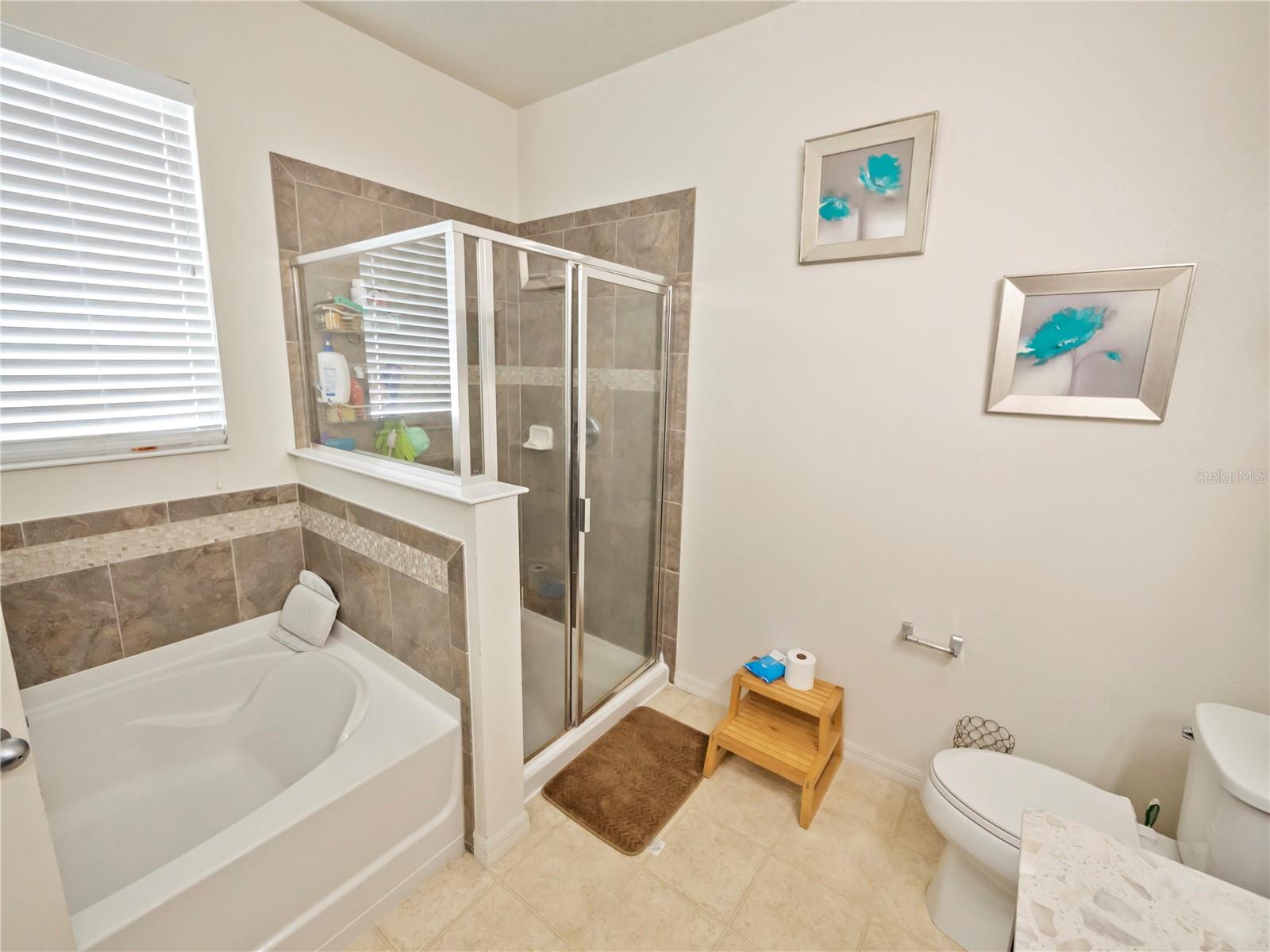 Garden Tub and Separate Shower