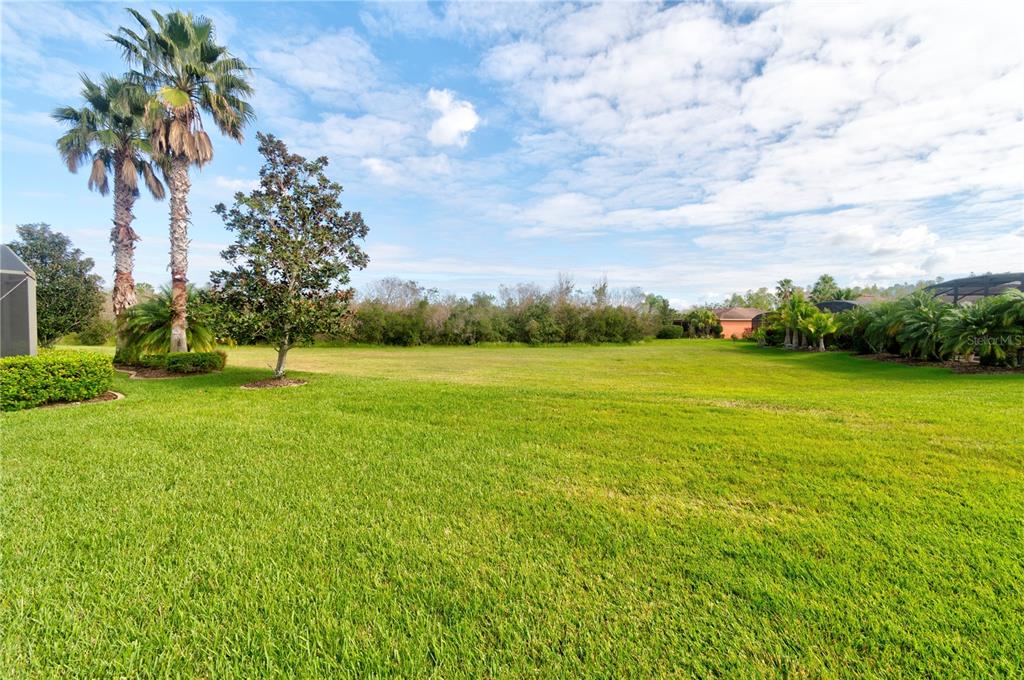 GREEN SPACE IN BACK OF HOME