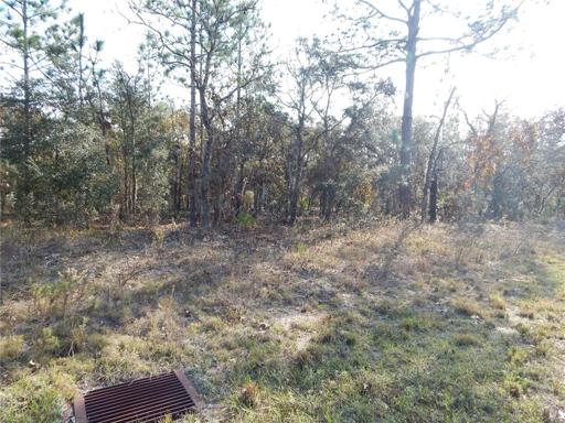 Northwest corner of the property