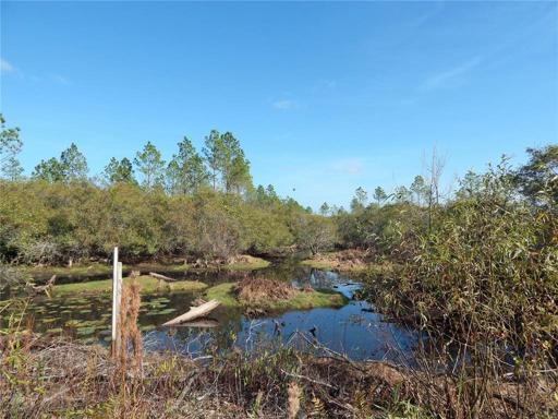 Pond