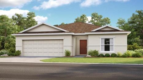 Cypress B ~ Rendering