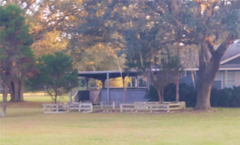 Barbaque area and fish pond