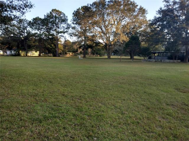 Pasture view