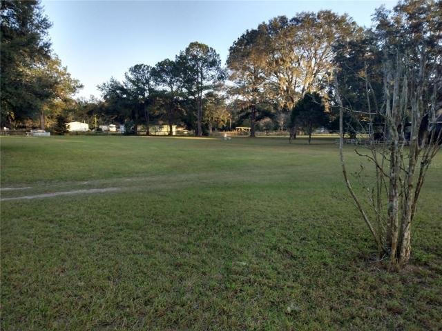 Pasture view 2