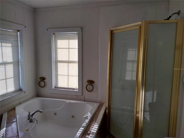 Master Bathroom view 2