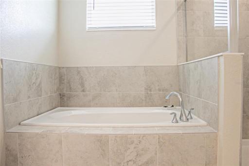 Master Bathroom Garden Tub