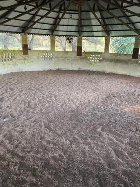 Inside round pen