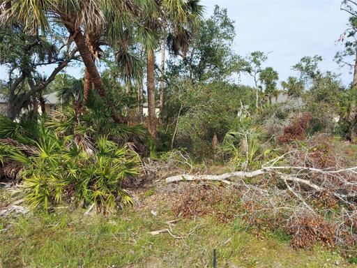 Partially wooded lot