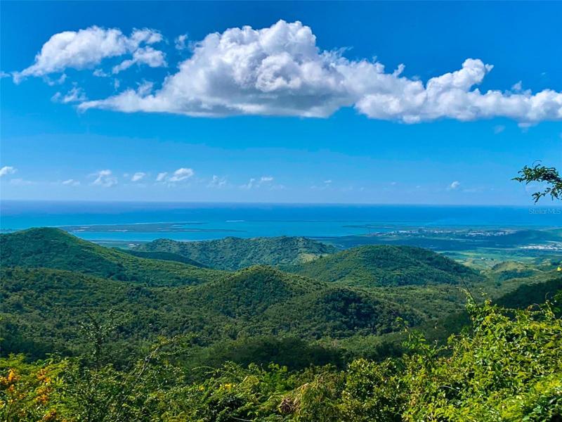 Amazing view!