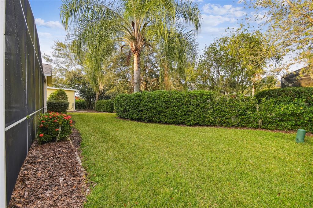 LUSH LANDSCAPING PROVIDES PRIVACY