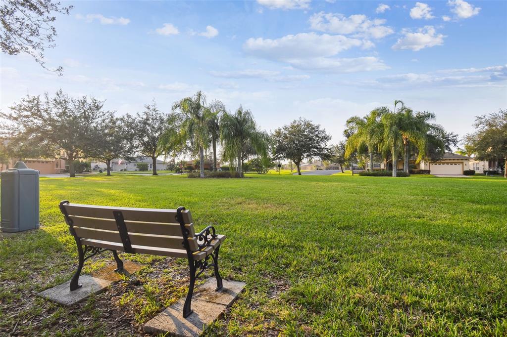 Park across the street.