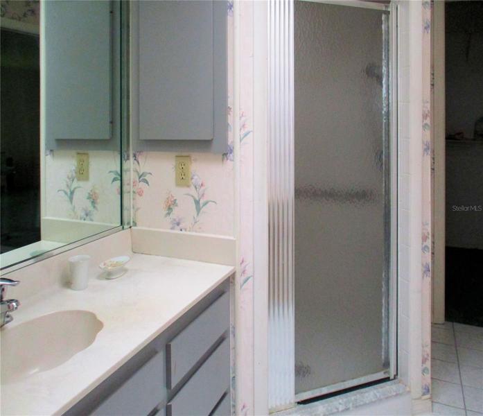 Vanity and step-in shower looking from water closet