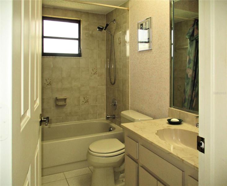 Guest bath tub and shower combination