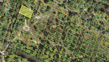 Property Appraiser 
