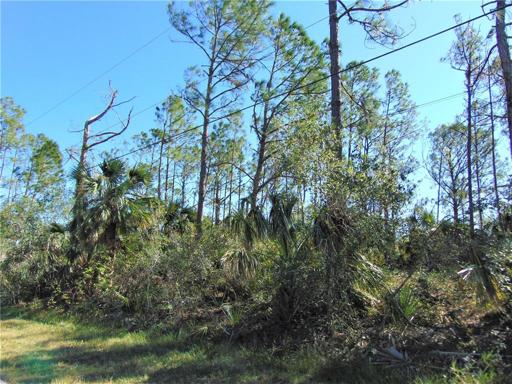 Perfect lot to build your home! Electric is here!