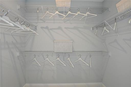 Model Owner's Closet