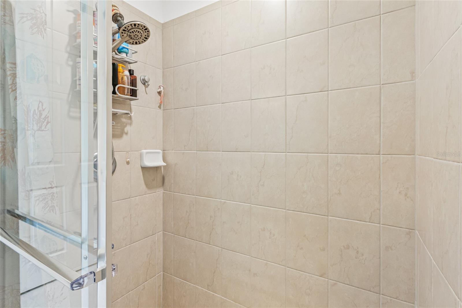 Shower in master bath