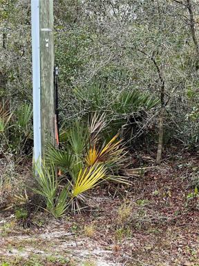 Property Line Flag