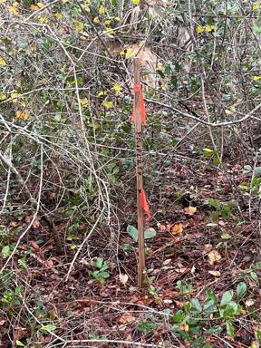 Property Line flag