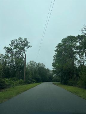 Driving into the community view