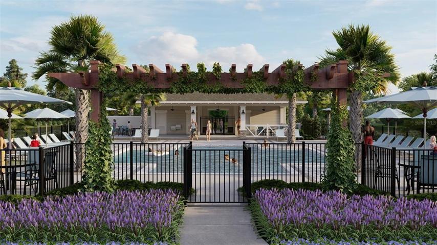 Pool Entry Rendering