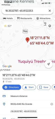 GPS LOCATION INFO