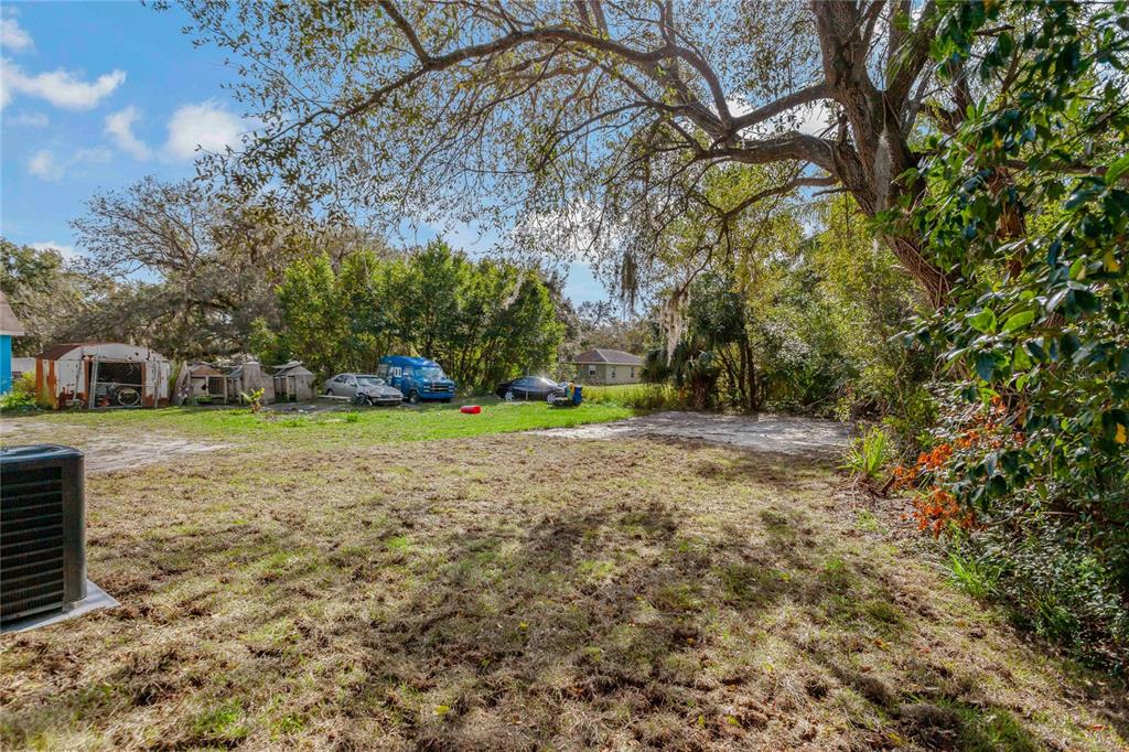 Backyard