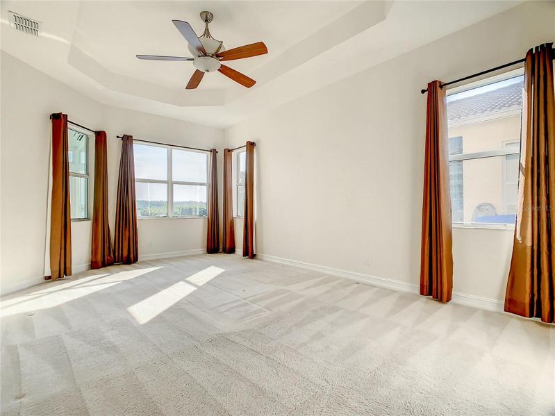 Tray ceiling in master bedroom