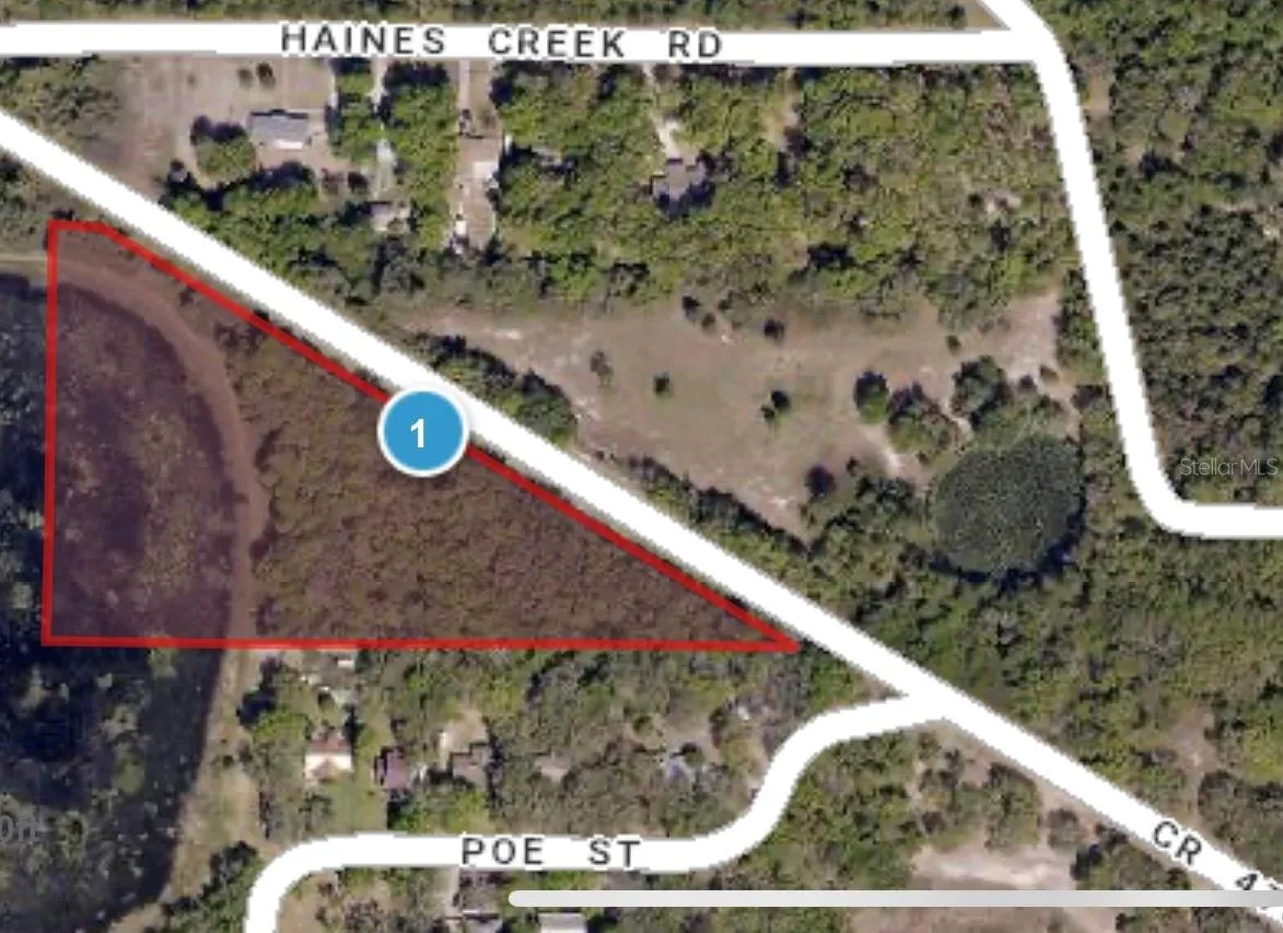 Leesburg, Florida 34788, 0 , 0 ,0,Land,For Sale,COUNTY ROAD 473,0,O6080752