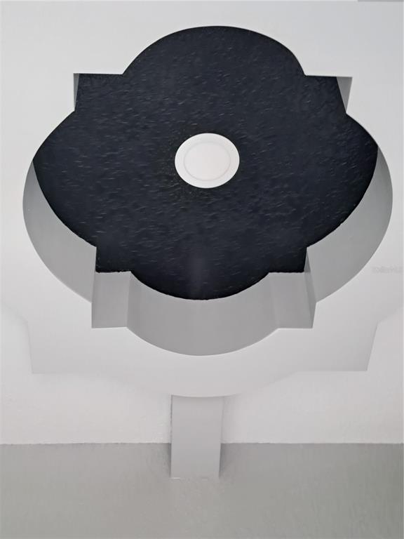 Custom Tray Ceiling