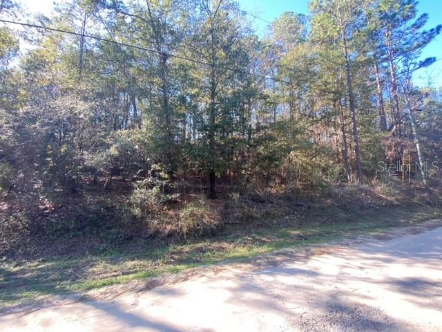Defuniak Springs, Florida 32433, 0 , 0 ,0,Land,For Sale,LOT 49,0,U8186139