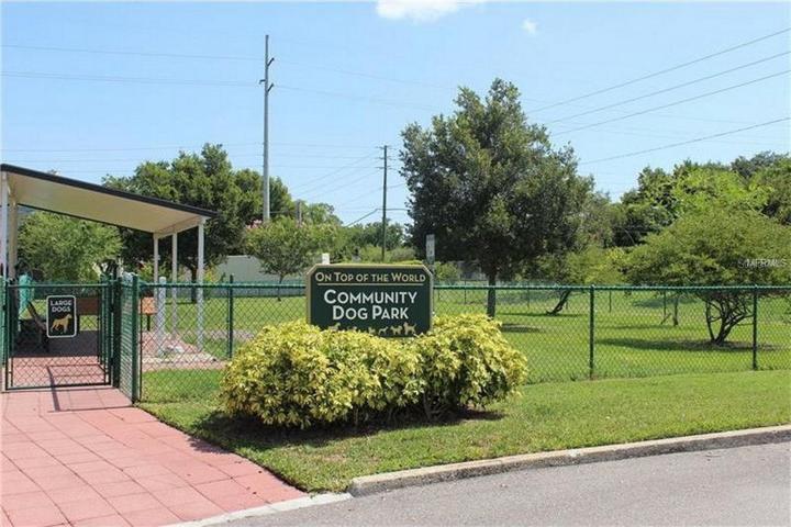Dog Park