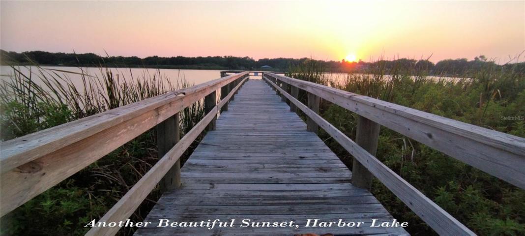 Harbor Lake Sunset
