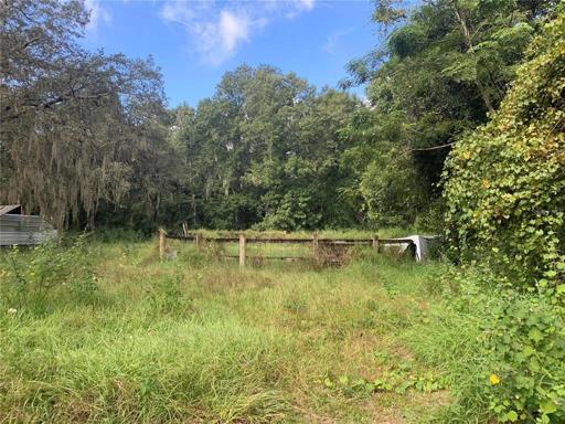 Back lots
