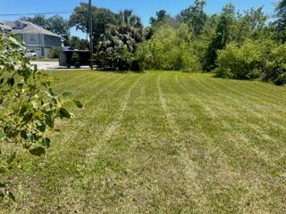 Lot 1