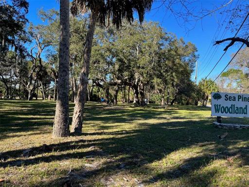 Woodland Park at the beginning of Buccaneer 