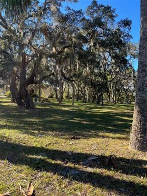 Woodland Park