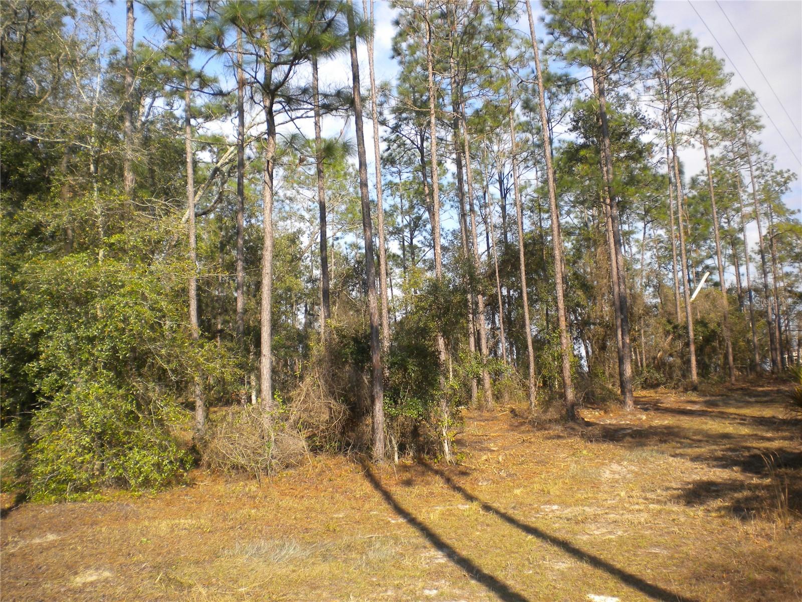 !176' frontage 176X 240'