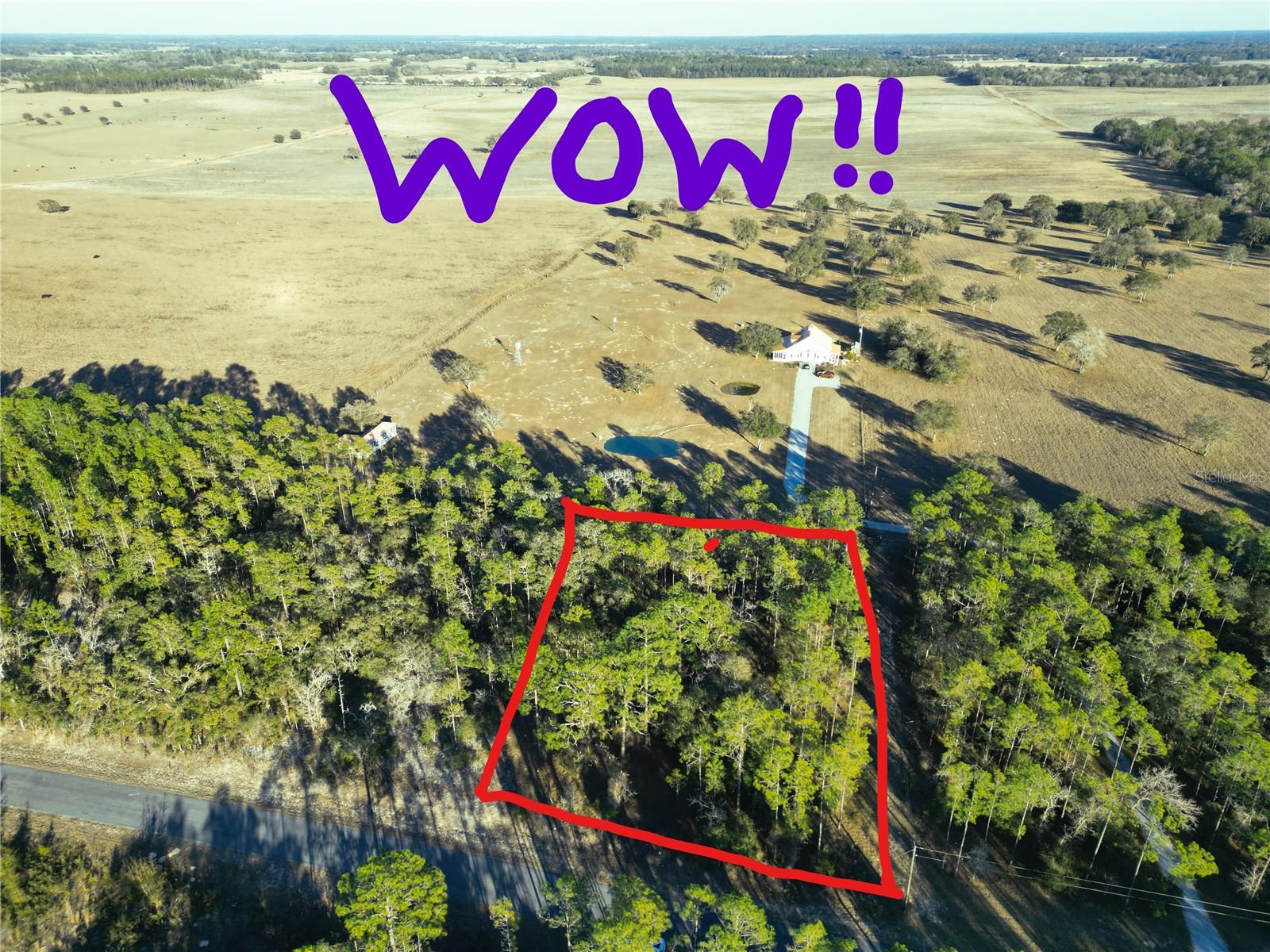 BEAUTIFUL, HIGH, DRY, PRIVATE LOT