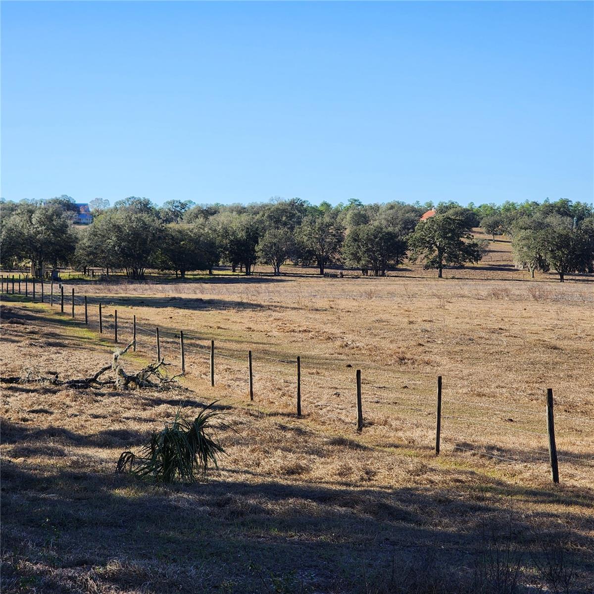 ranch land east