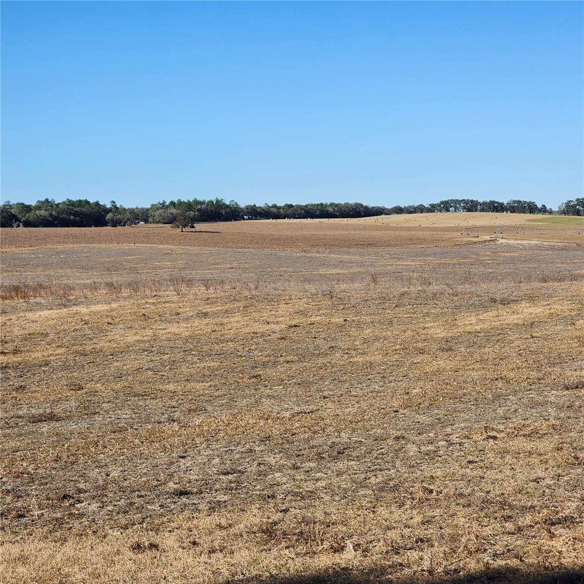 part of over 300 acres directly behind the property