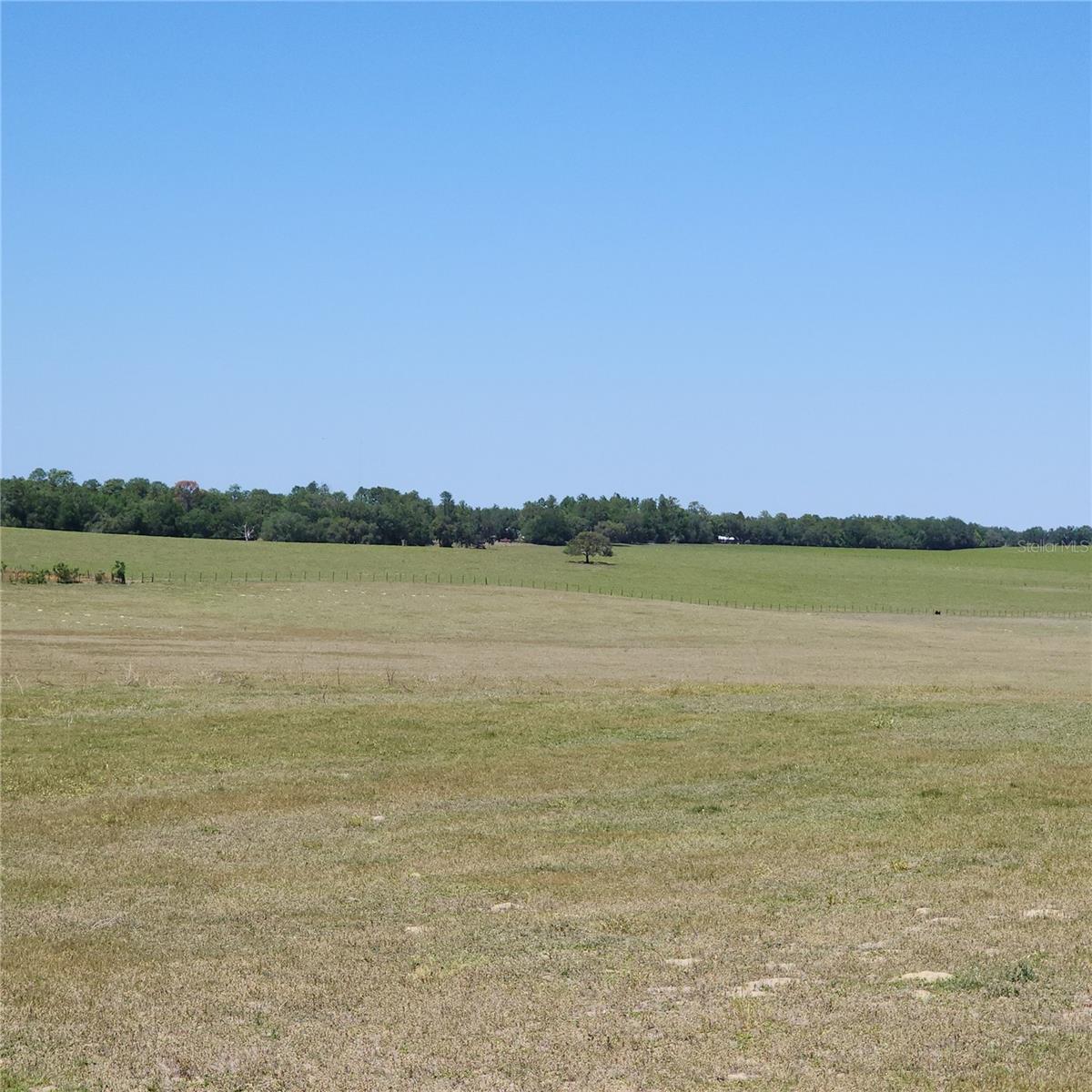 part of 300 acres behind ptoperty