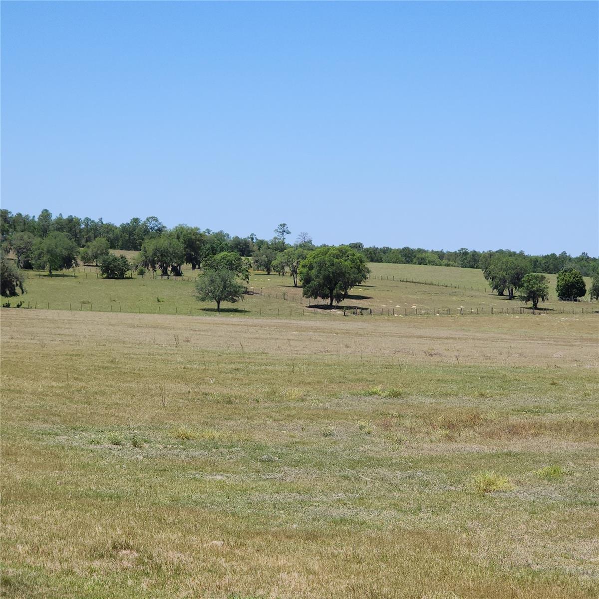 part of over 300 acres behind property(East)