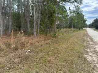 Otter Dr. partially cleared land