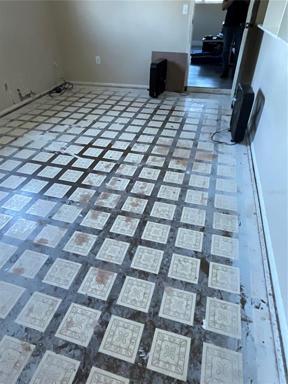 Carpet got wet during Ian so it was removed